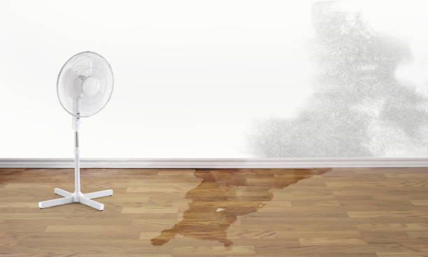 Best Water damage restoration near me  in Oxnard, CA