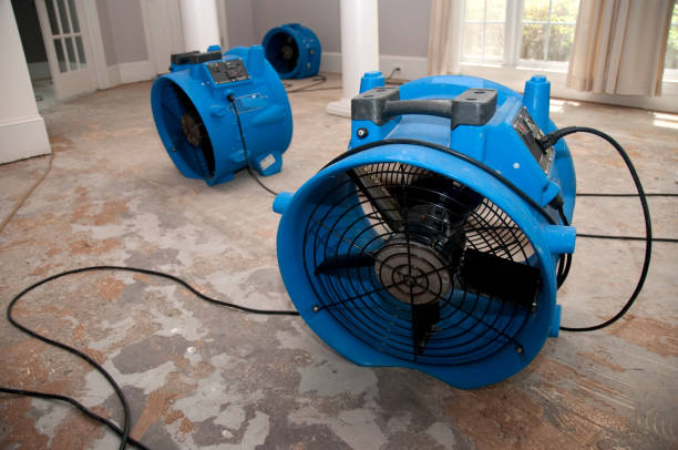Best 24/7 water damage repair  in Oxnard, CA